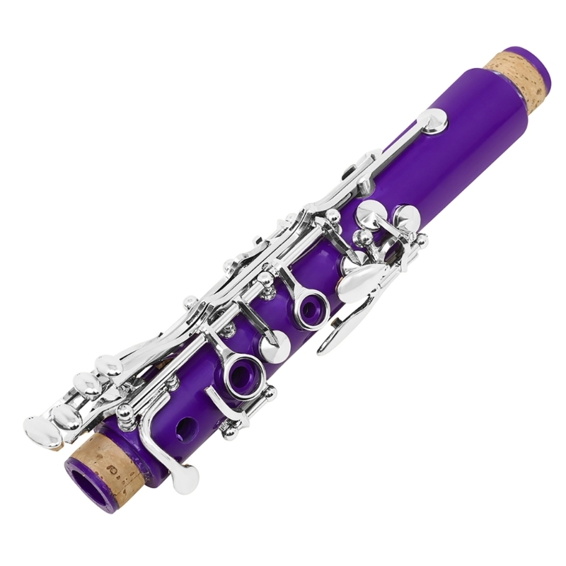 Musical Instrument In Orchestra - 17キー学生プラスチッククラリネット楽器セット、キャリーケース、クリーニングクロス、初心者練習用Bbトーンクラリネット付き