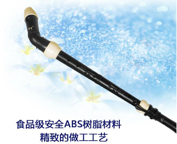 プロフェッショナル 8 穴バロック低音樹脂クラリネット中国フ - Musical Instrument In Chinese のレビューと価格